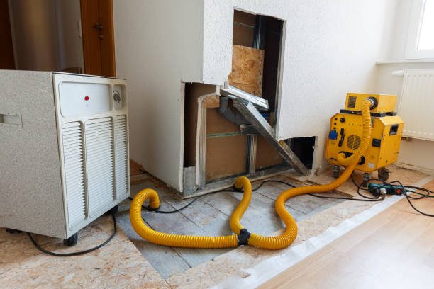 Best Water Damage & Mold Remediation  in Loxahatchee Groves, FL
