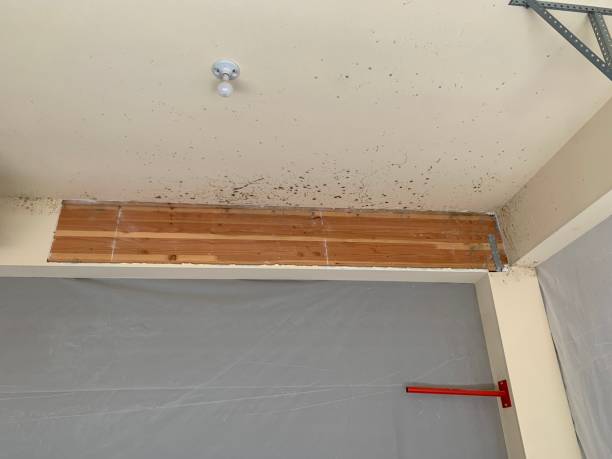 Forensic Mold Investigation in Loxahatchee Groves, FL